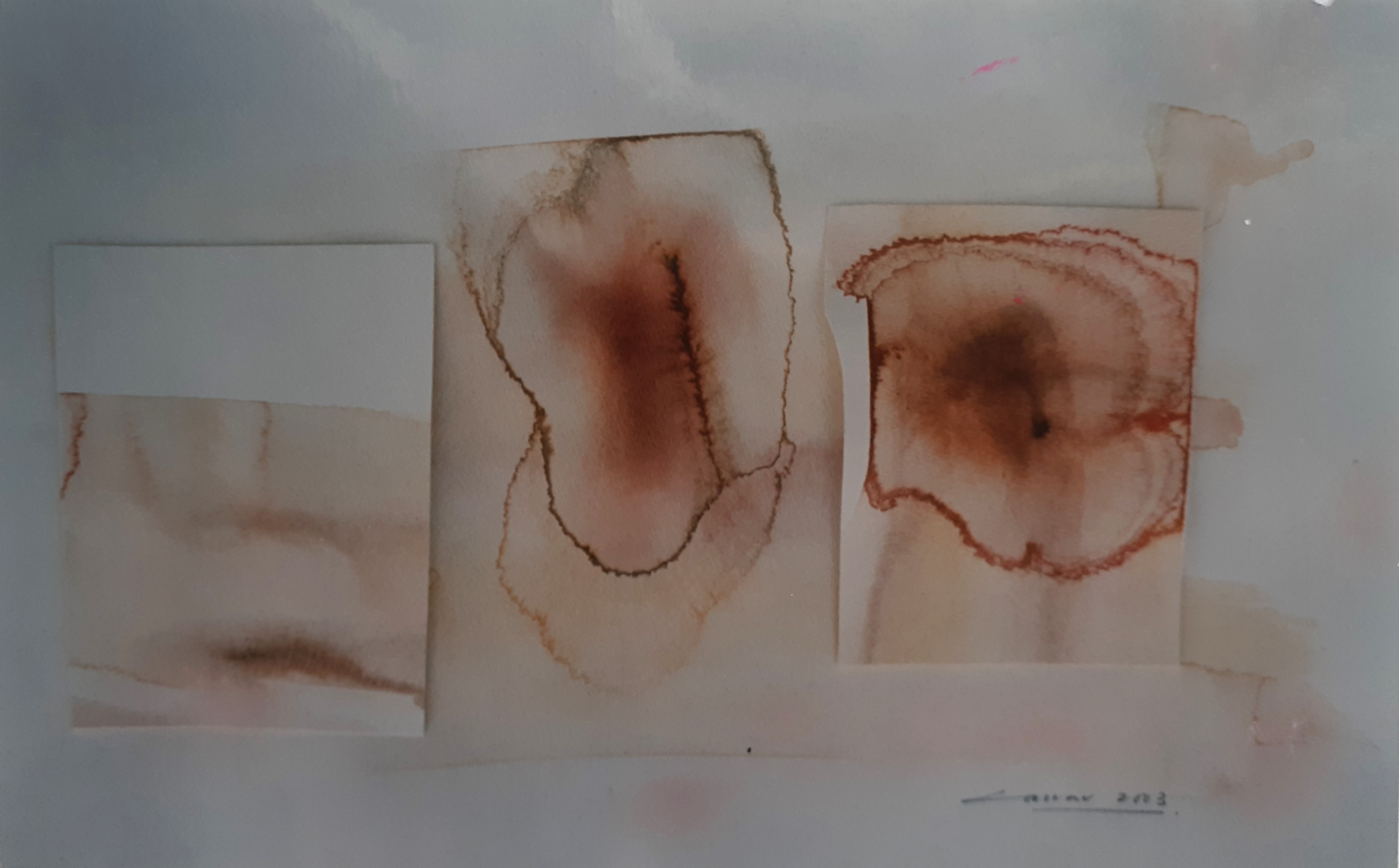 Bio-Morphic Forms – The Incision: Watercolour & Collage, 34 x 56cms, signed, 2003