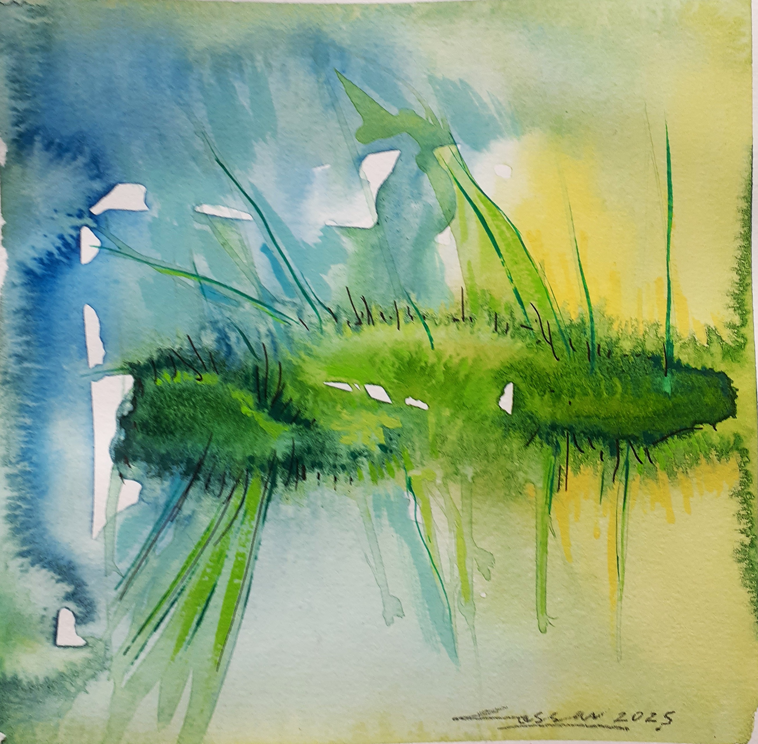 Cactus I: Watercolour, 20 x 20cm, 2025