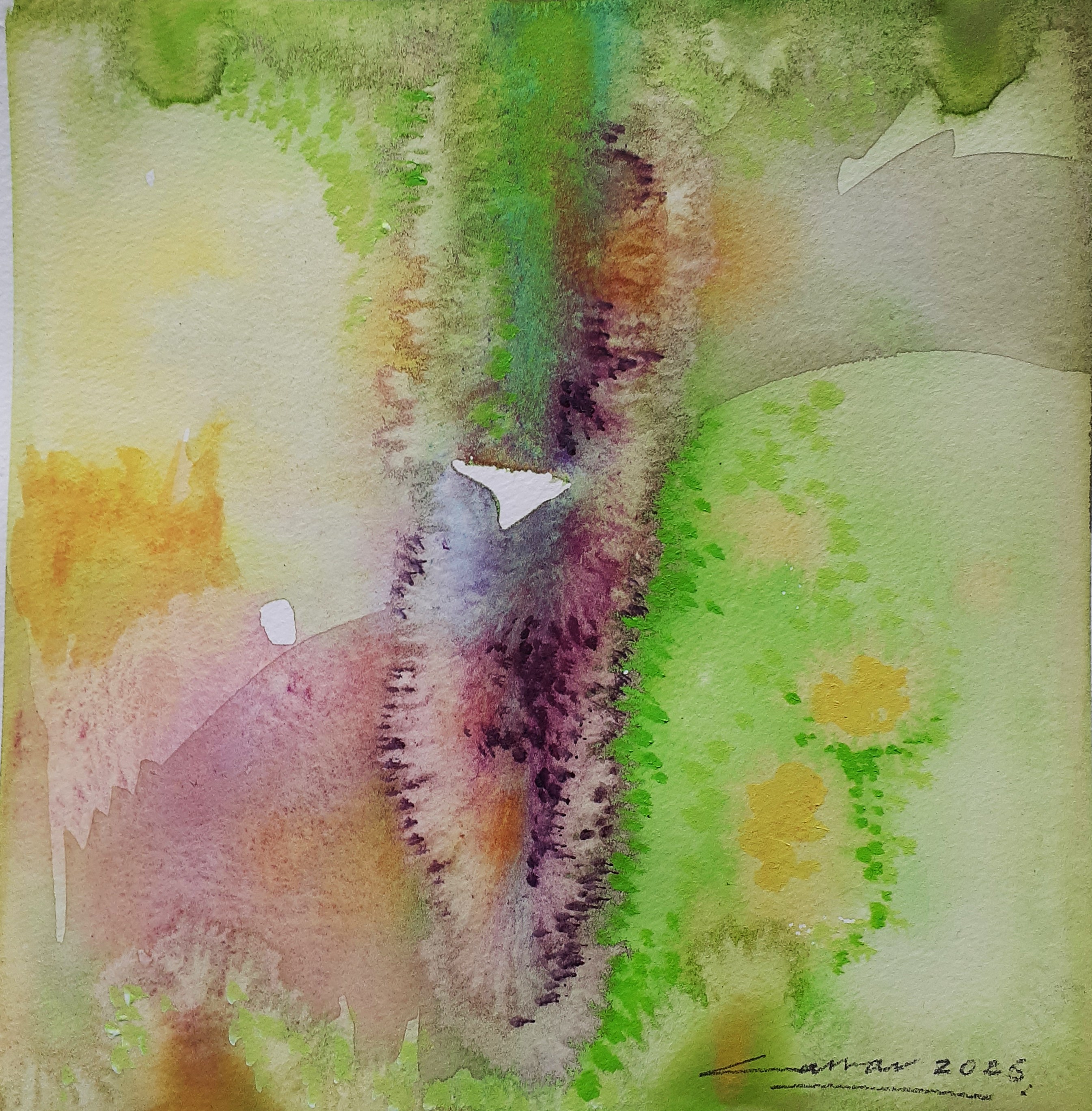 Cactus II: Watercolour, 20 x 20cm, 2025