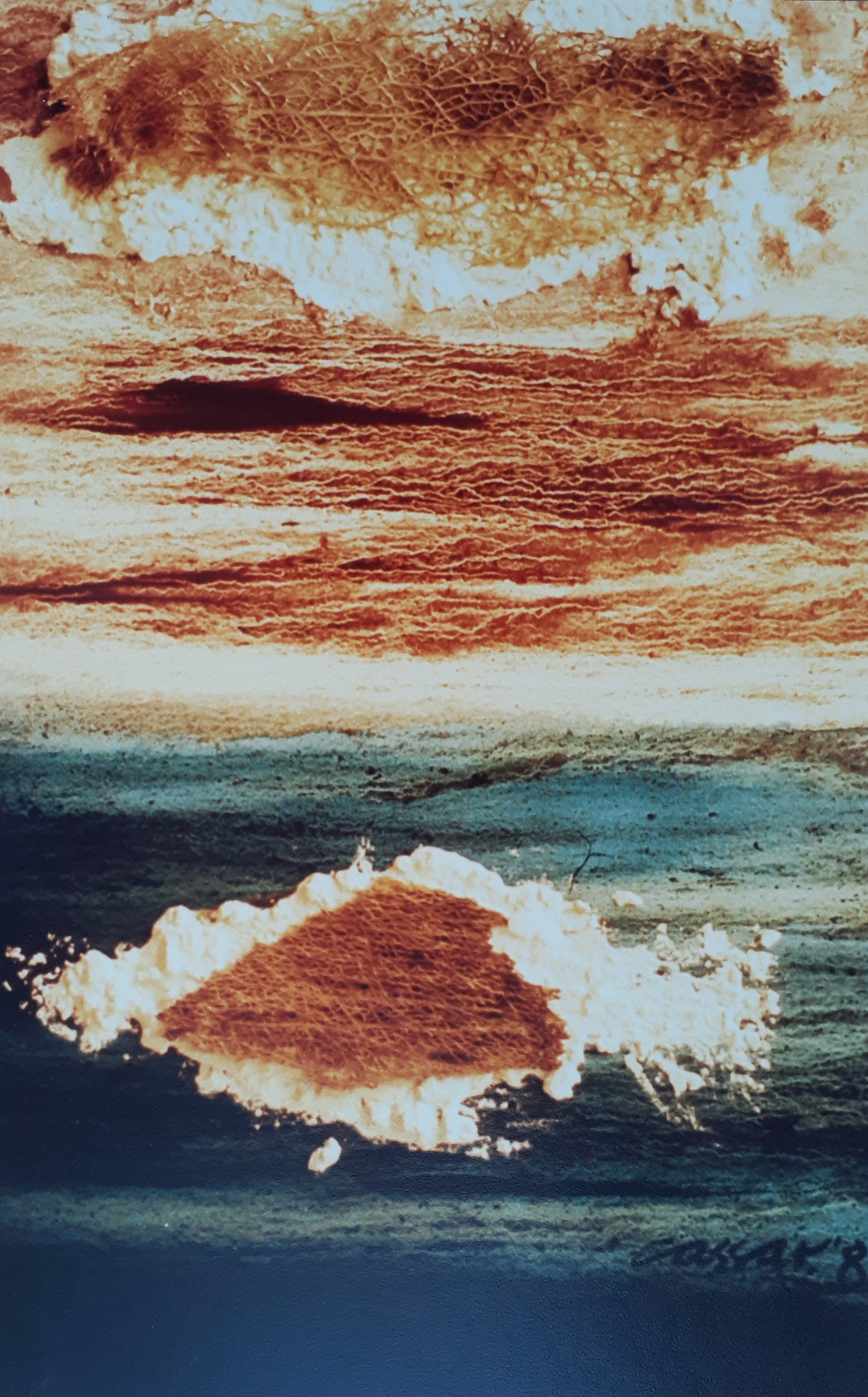 Land & Sea, Oil, Prickly Pear, White Cement, Fibre-Glass on Canvas, 86 x 35cm, signed, 1985