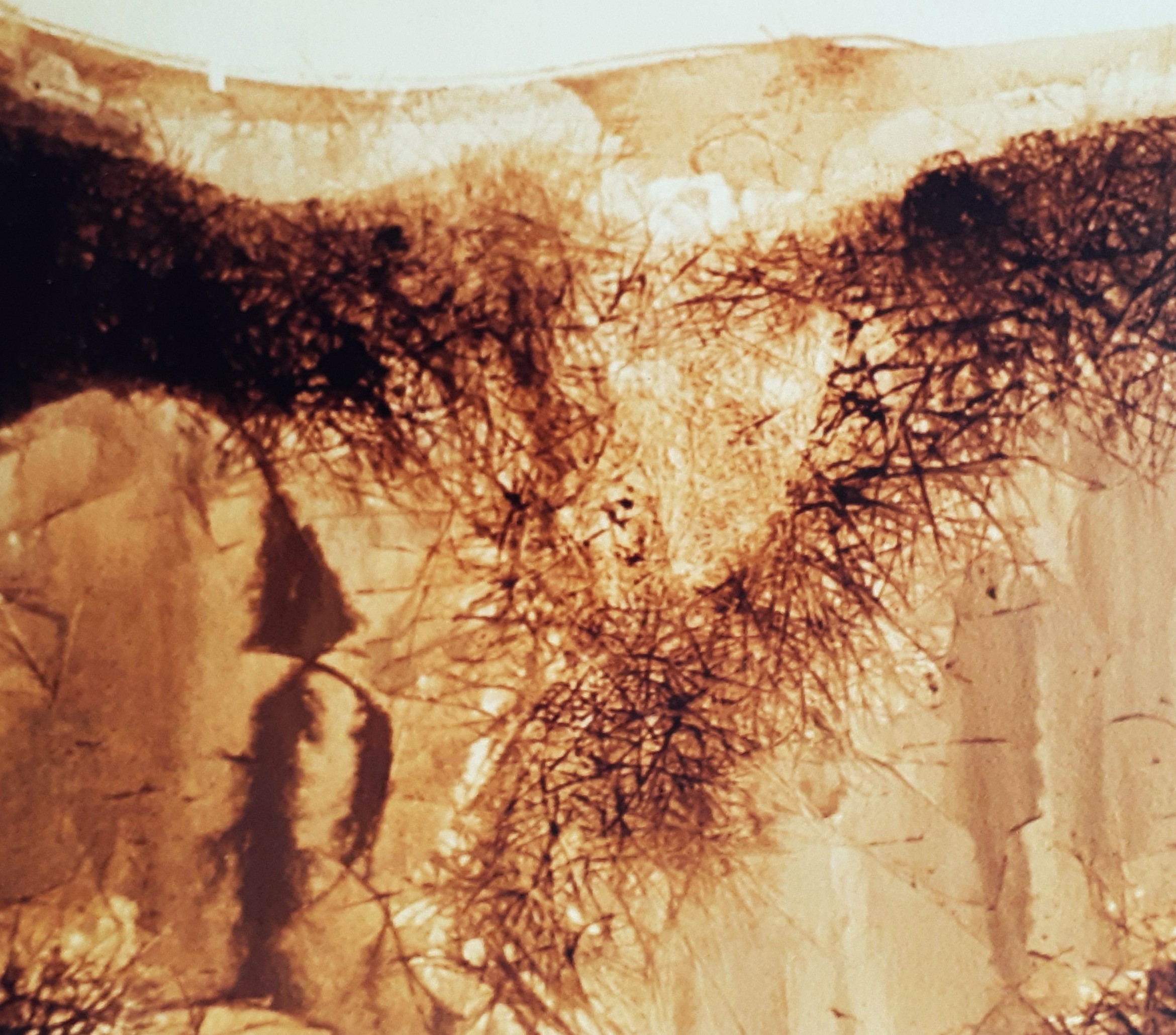 Landscape: Oil & Fibre-Glass on Canvas,  39 x 49cm, unsigned, undated