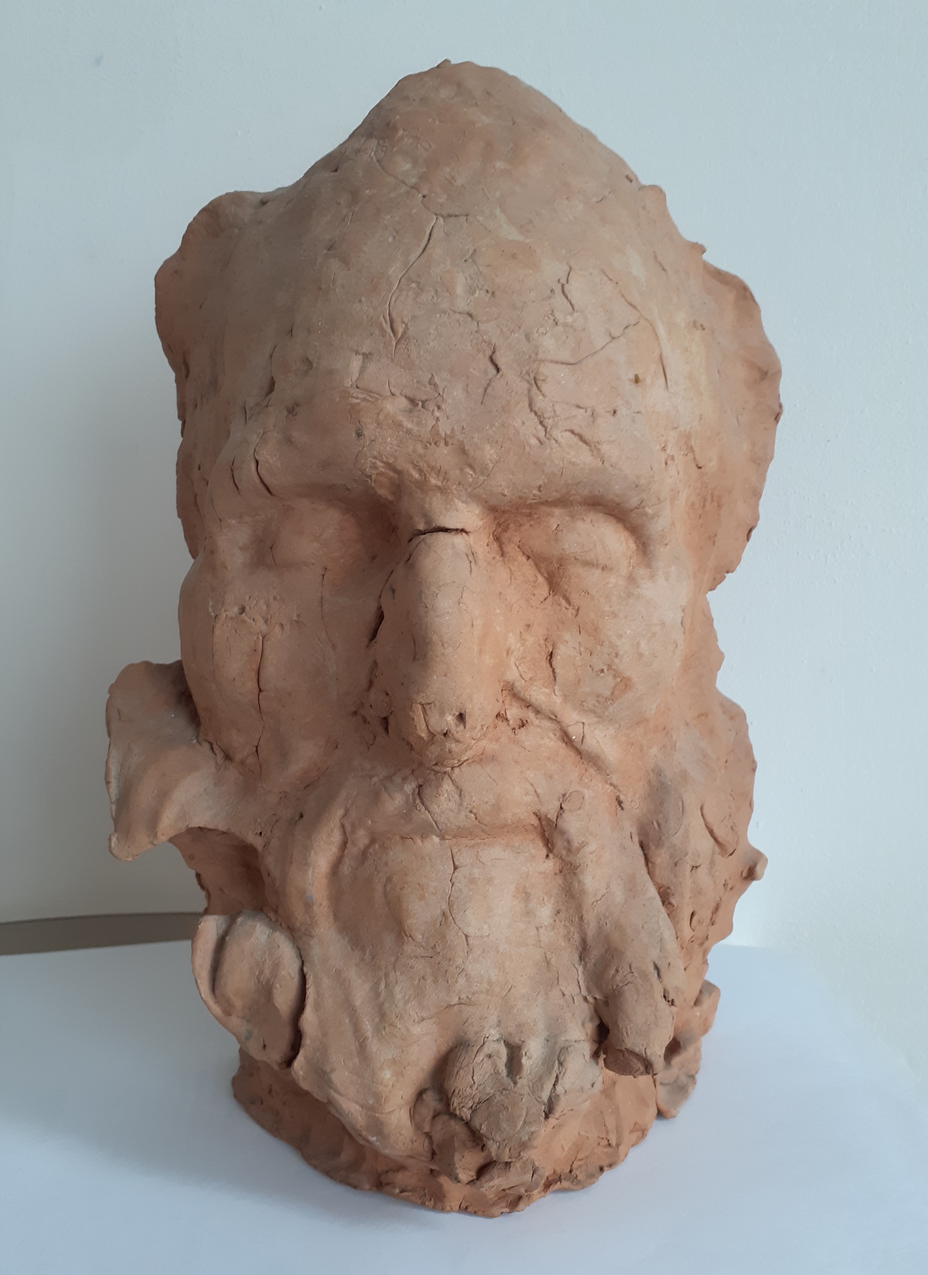 Meditative Head I: Terracotta, 1982