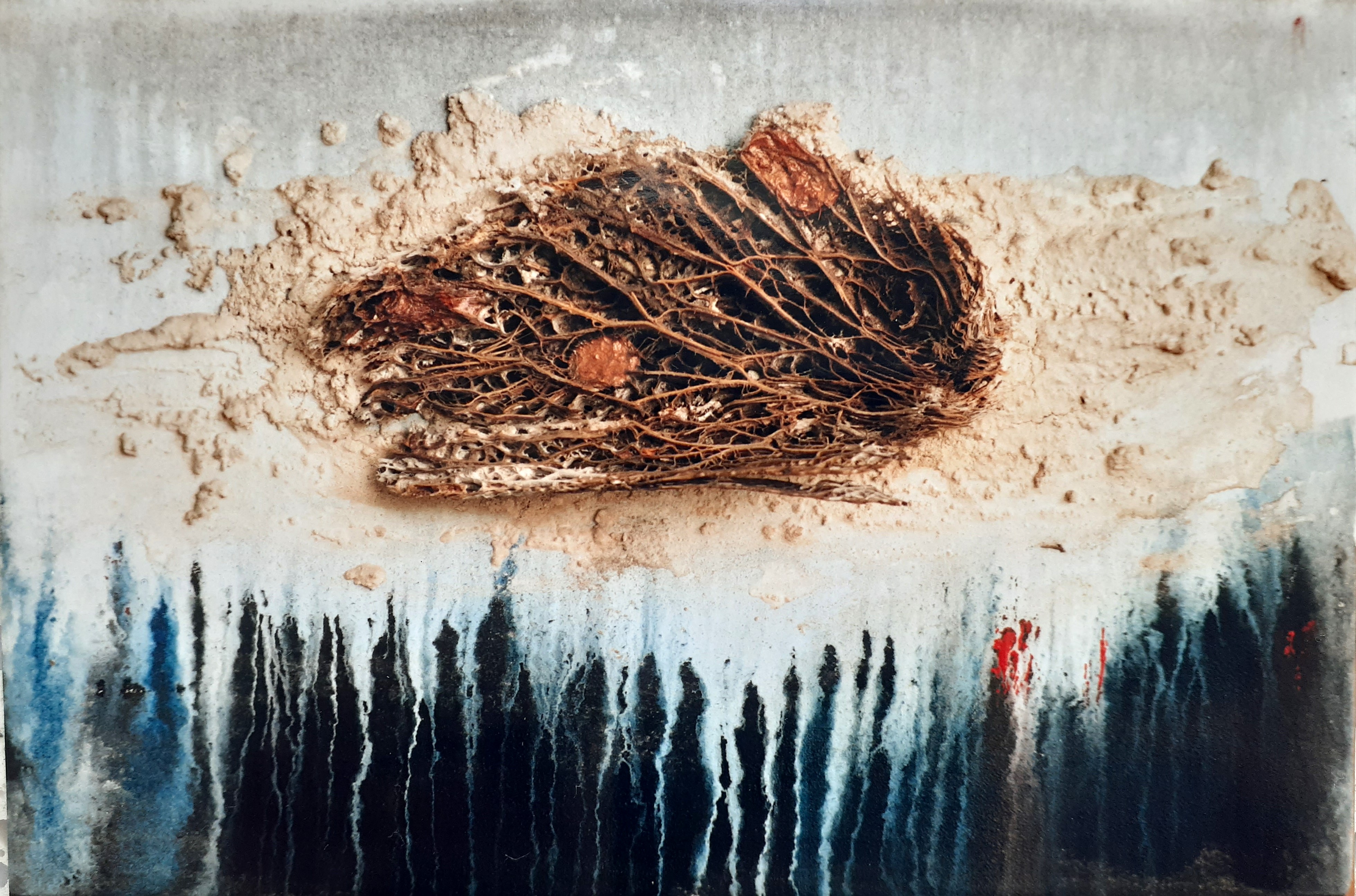 Natura Morta, Oil, Prickly Pear, White Cement & Fibre-Glass, 31 x 44cm, unsigned, undated