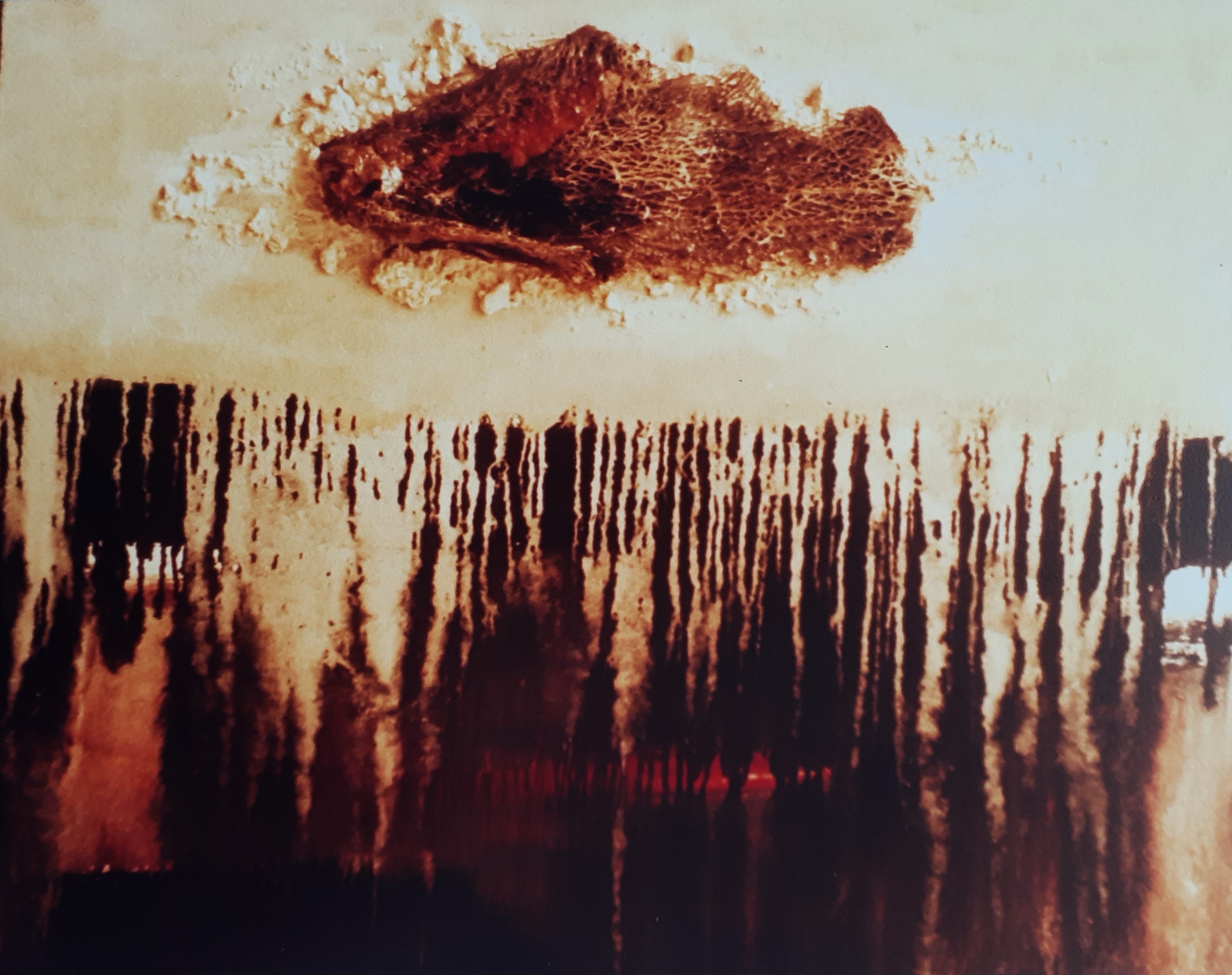 Natura Morta: Oil on Canvas, 96 x 60cm, unsigned, undated