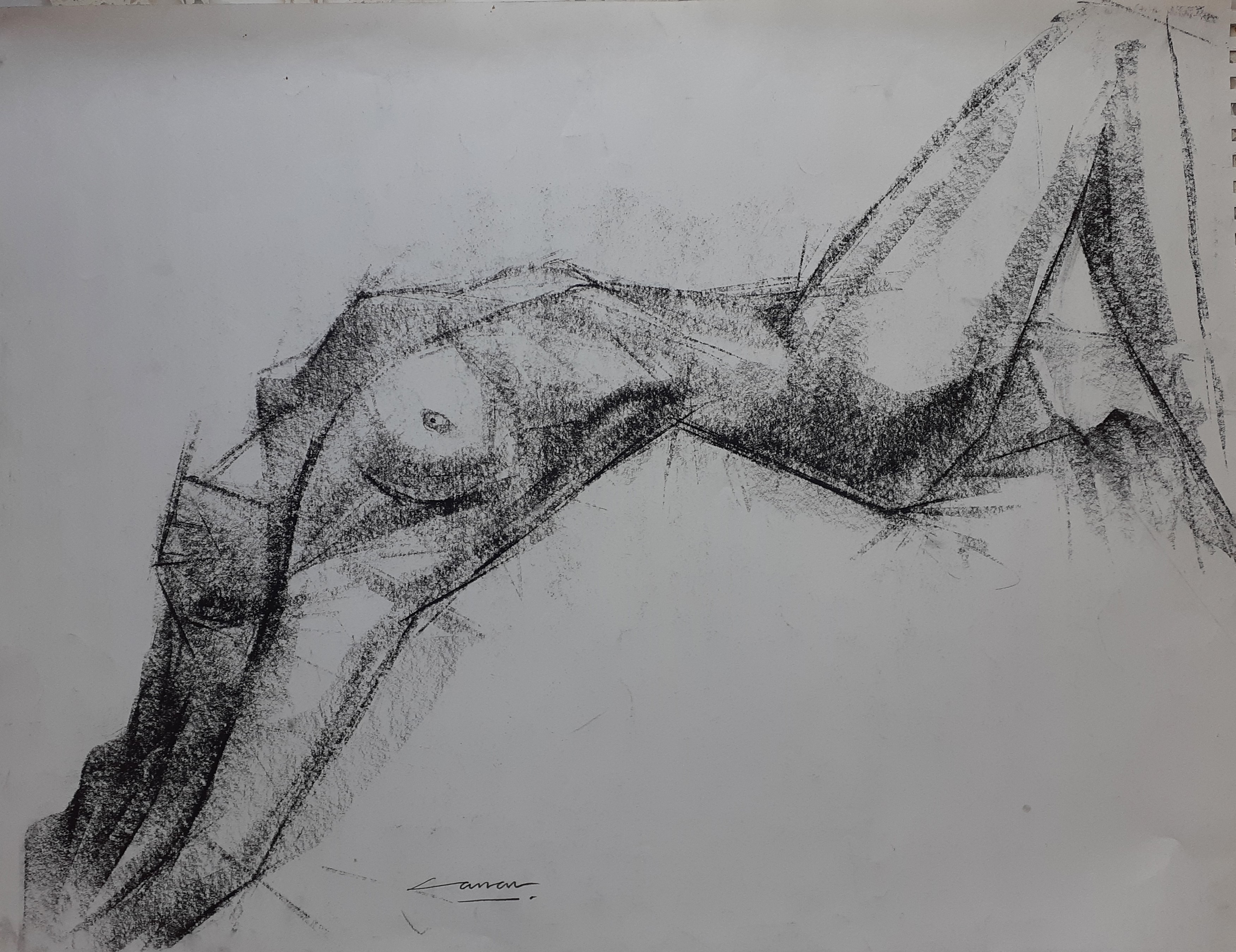 Recling Nude: Charcoal, 55 x 101cm, signed, undated