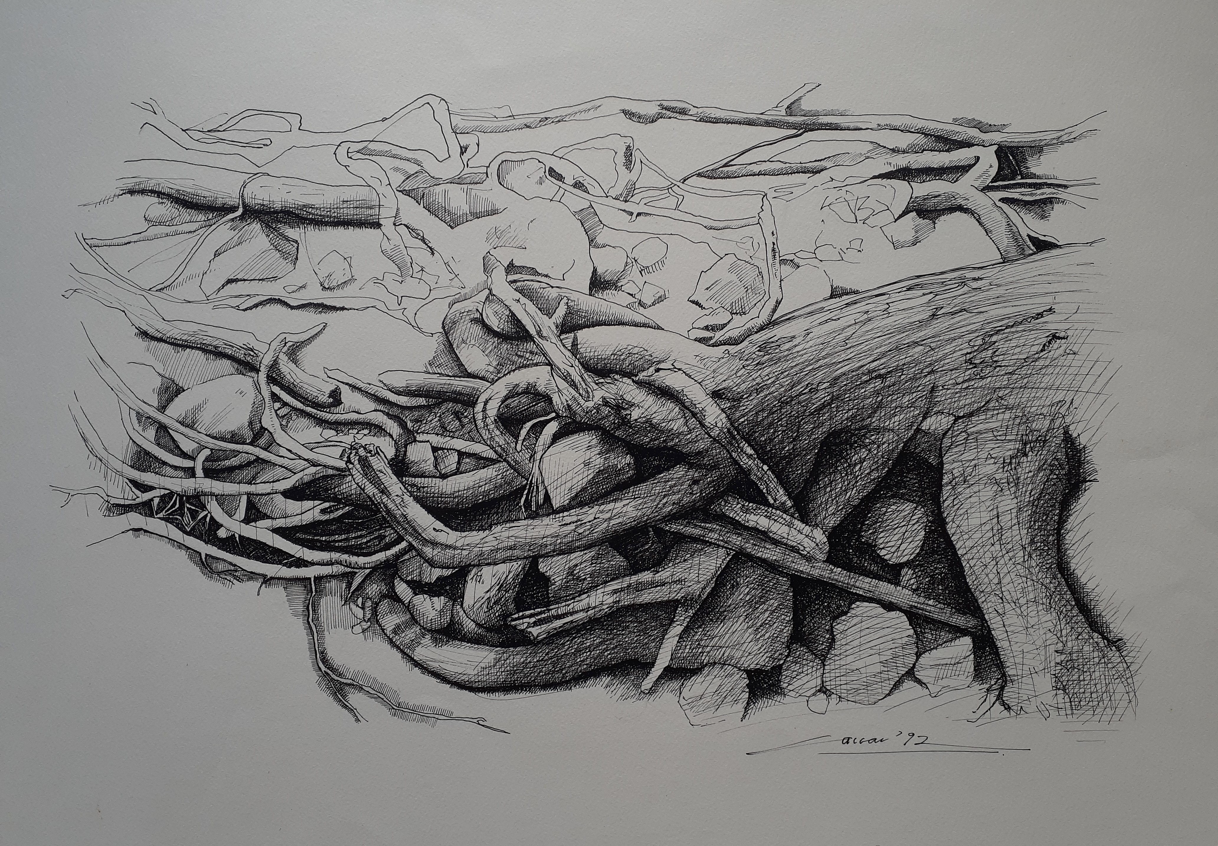 Roots: Pen & Ink, 30 x 60cm, signed, 1992